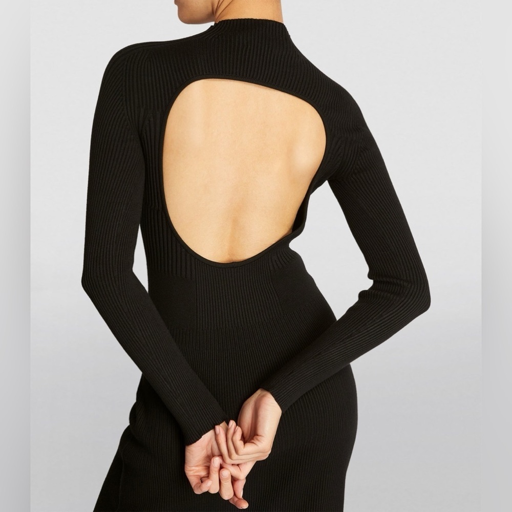 AERON Ribbed Cut-Out Lara Dress​​